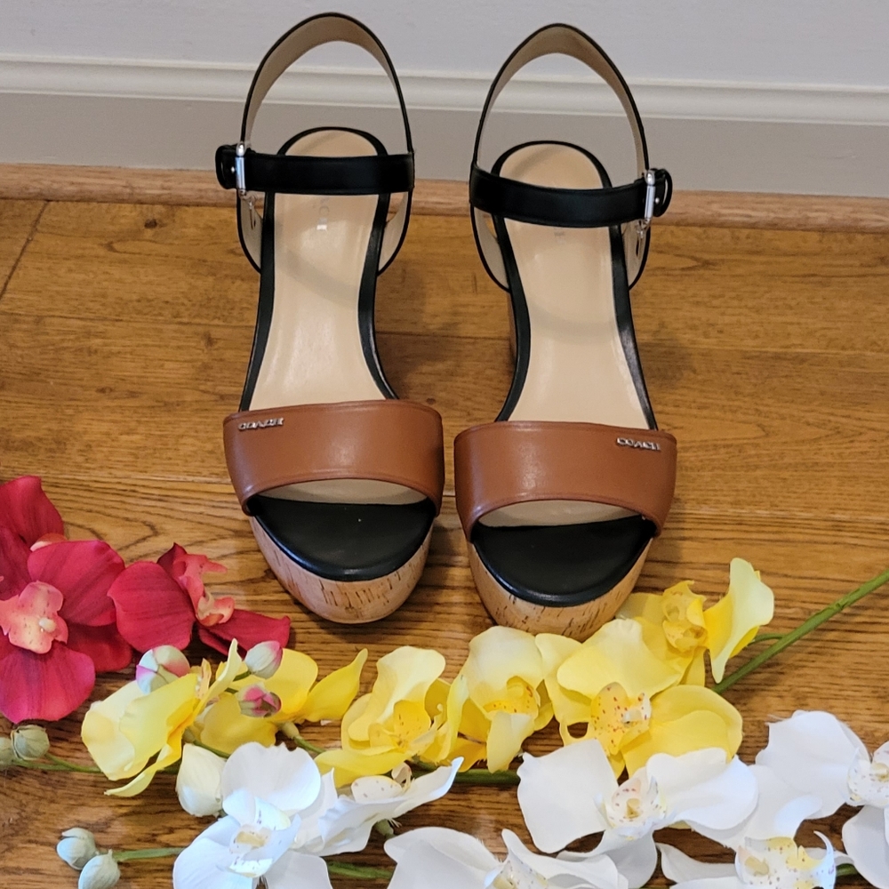 Coach Wedges